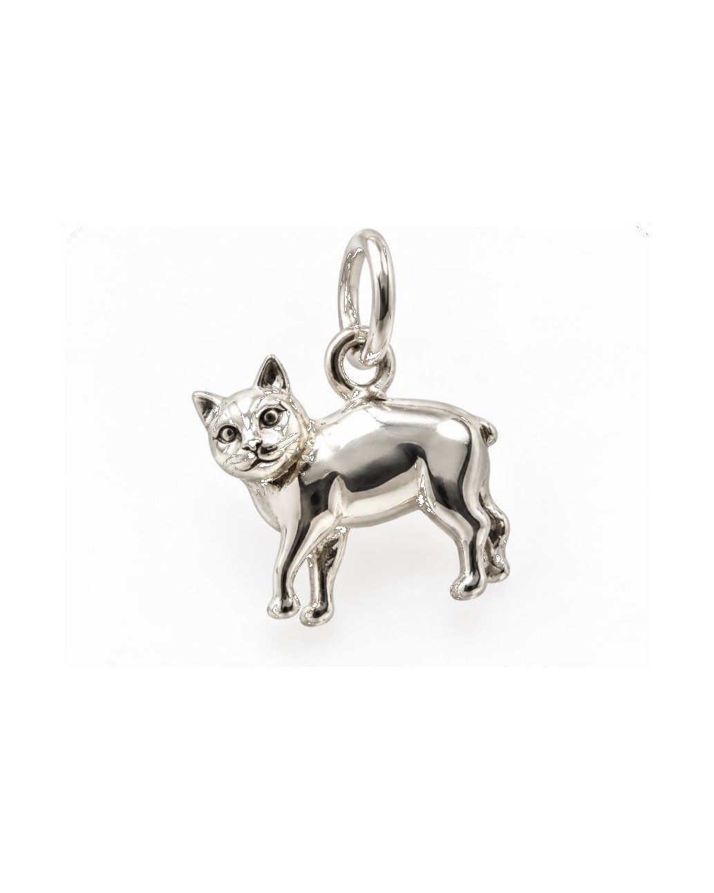 Manx cat charm
